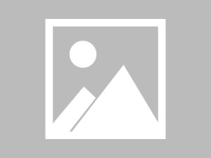 商贸服务业的智能化、数字化与绿色化发展路径